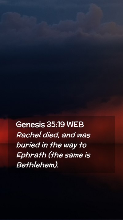 Picture 02 - Genesis 35:19 WEB Mobile Phone Wallpaper - Rachel died, and was buried in the way to Ephrath - Mobile Bible Verse Wallpaper