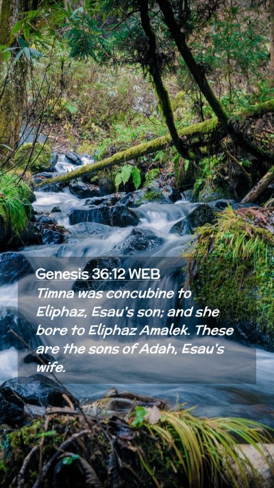 Picture 02 - Genesis 36:12 WEB Mobile Phone Wallpaper - Timna was concubine to Eliphaz, Esau's son; and - Mobile Bible Verse Wallpaper