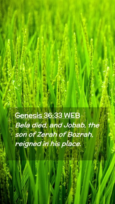 Picture 02 - Genesis 36:33 WEB Mobile Phone Wallpaper - Bela died, and Jobab, the son of Zerah of Bozrah, - Mobile Bible Verse Wallpaper