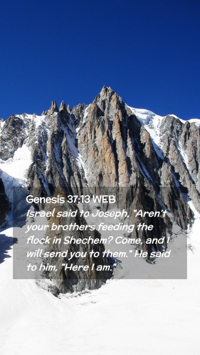 Picture 02 - Genesis 37:13 WEB Mobile Phone Wallpaper - Israel said to Joseph, 