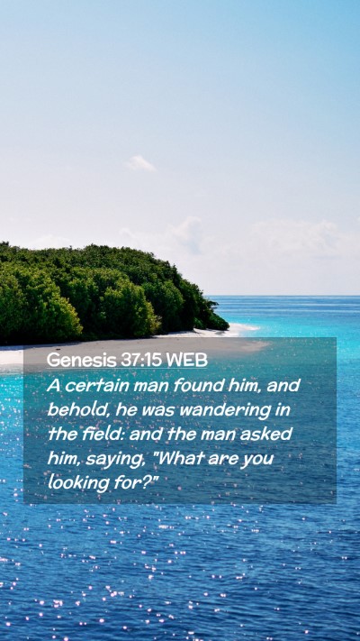 Picture 02 - Genesis 37:15 WEB Mobile Phone Wallpaper - A certain man found him, and behold, he was - Mobile Bible Verse Wallpaper