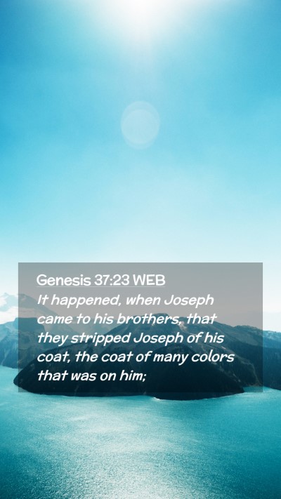 Picture 02 - Genesis 37:23 WEB Mobile Phone Wallpaper - It happened, when Joseph came to his brothers, - Mobile Bible Verse Wallpaper