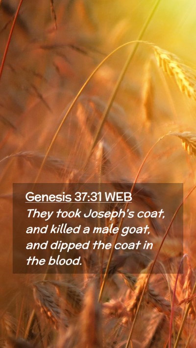 Picture 02 - Genesis 37:31 WEB Mobile Phone Wallpaper - They took Joseph's coat, and killed a male goat, - Mobile Bible Verse Wallpaper