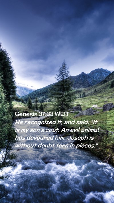 Picture 02 - Genesis 37:33 WEB Mobile Phone Wallpaper - He recognized it, and said, 