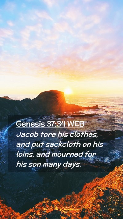Picture 02 - Genesis 37:34 WEB Mobile Phone Wallpaper - Jacob tore his clothes, and put sackcloth on his - Mobile Bible Verse Wallpaper