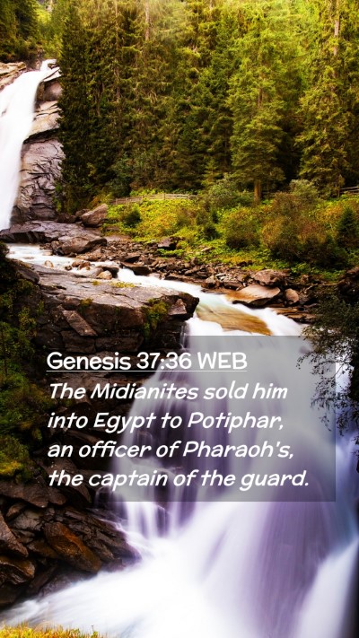 Picture 02 - Genesis 37:36 WEB Mobile Phone Wallpaper - The Midianites sold him into Egypt to Potiphar, - Mobile Bible Verse Wallpaper