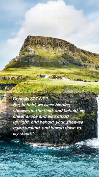 Picture 02 - Genesis 37:7 WEB Mobile Phone Wallpaper - for, behold, we were binding sheaves in the - Mobile Bible Verse Wallpaper