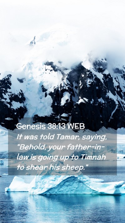 Picture 02 - Genesis 38:13 WEB Mobile Phone Wallpaper - It was told Tamar, saying, 