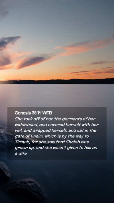 Picture 02 - Genesis 38:14 WEB Mobile Phone Wallpaper - She took off of her the garments of her - Mobile Bible Verse Wallpaper