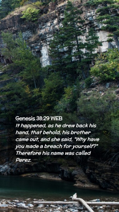 Picture 02 - Genesis 38:29 WEB Mobile Phone Wallpaper - It happened, as he drew back his hand, that - Mobile Bible Verse Wallpaper