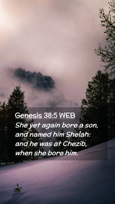 Picture 02 - Genesis 38:5 WEB Mobile Phone Wallpaper - She yet again bore a son, and named him Shelah: - Mobile Bible Verse Wallpaper