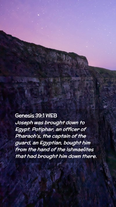 Picture 02 - Genesis 39:1 WEB Mobile Phone Wallpaper - Joseph was brought down to Egypt. Potiphar, an - Mobile Bible Verse Wallpaper