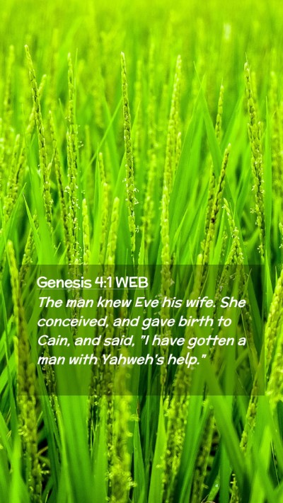 Picture 02 - Genesis 4:1 WEB Mobile Phone Wallpaper - The man knew Eve his wife. She conceived, and - Mobile Bible Verse Wallpaper