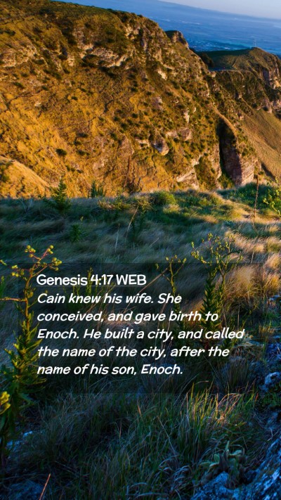 Picture 02 - Genesis 4:17 WEB Mobile Phone Wallpaper - Cain knew his wife. She conceived, and gave birth - Mobile Bible Verse Wallpaper