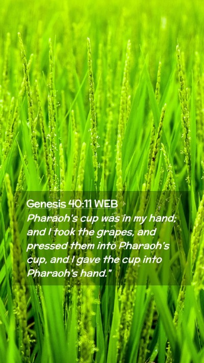 Picture 02 - Genesis 40:11 WEB Mobile Phone Wallpaper - Pharaoh's cup was in my hand; and I took the - Mobile Bible Verse Wallpaper
