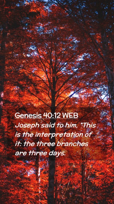 Picture 02 - Genesis 40:12 WEB Mobile Phone Wallpaper - Joseph said to him, 
