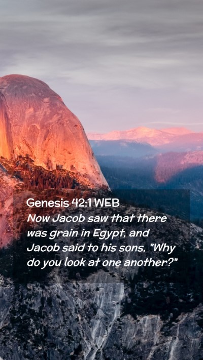 Picture 02 - Genesis 42:1 WEB Mobile Phone Wallpaper - Now Jacob saw that there was grain in Egypt, and - Mobile Bible Verse Wallpaper