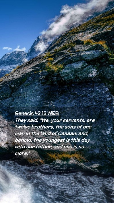 Picture 02 - Genesis 42:13 WEB Mobile Phone Wallpaper - They said, 