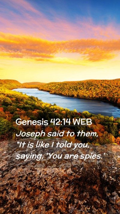 Picture 02 - Genesis 42:14 WEB Mobile Phone Wallpaper - Joseph said to them, 
