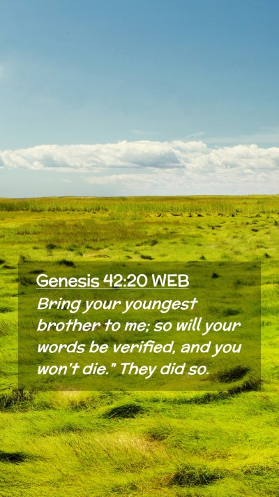 Picture 02 - Genesis 42:20 WEB Mobile Phone Wallpaper - Bring your youngest brother to me; so will your - Mobile Bible Verse Wallpaper