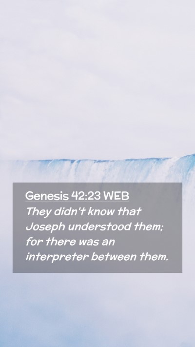 Picture 02 - Genesis 42:23 WEB Mobile Phone Wallpaper - They didn't know that Joseph understood them; for - Mobile Bible Verse Wallpaper