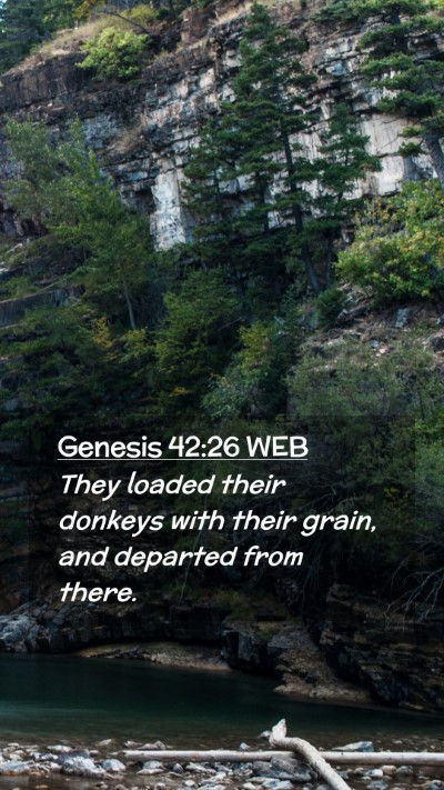 Picture 02 - Genesis 42:26 WEB Mobile Phone Wallpaper - They loaded their donkeys with their grain, and - Mobile Bible Verse Wallpaper