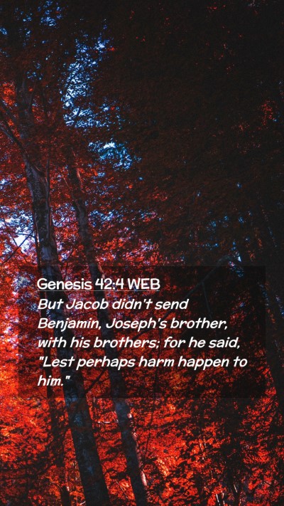 Picture 02 - Genesis 42:4 WEB Mobile Phone Wallpaper - But Jacob didn't send Benjamin, Joseph's brother, - Mobile Bible Verse Wallpaper
