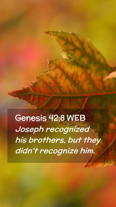 Picture 02 - Genesis 42:8 WEB Mobile Phone Wallpaper - Joseph recognized his brothers, but they didn't - Mobile Bible Verse Wallpaper