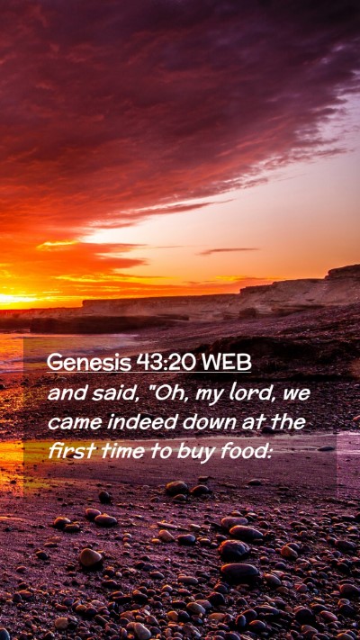 Picture 02 - Genesis 43:20 WEB Mobile Phone Wallpaper - and said, 