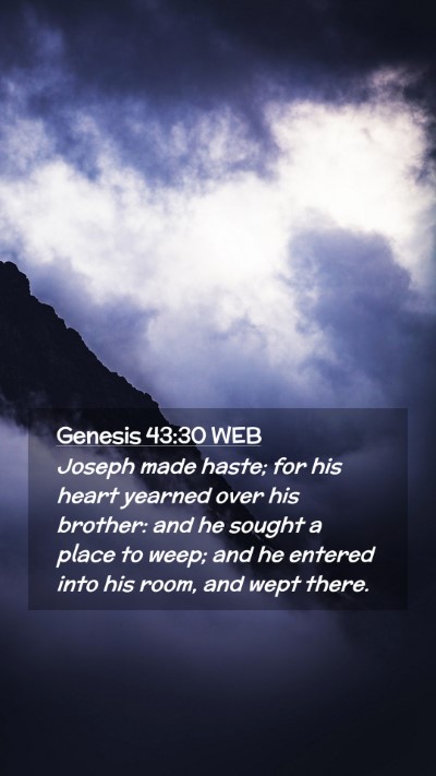 Picture 02 - Genesis 43:30 WEB Mobile Phone Wallpaper - Joseph made haste; for his heart yearned over his - Mobile Bible Verse Wallpaper
