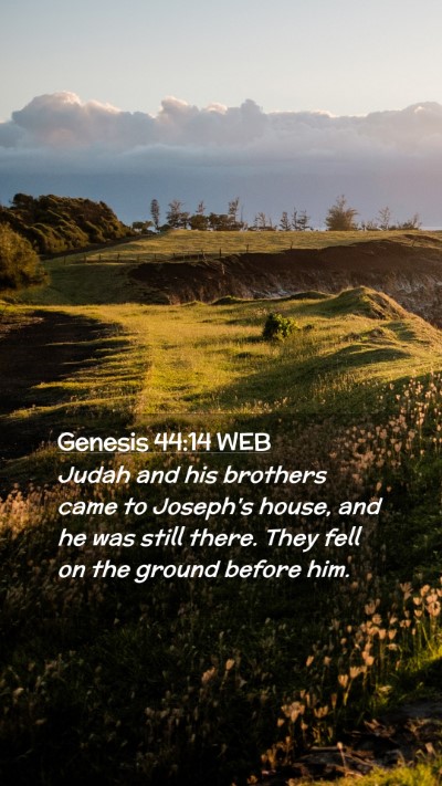 Picture 02 - Genesis 44:14 WEB Mobile Phone Wallpaper - Judah and his brothers came to Joseph's house, - Mobile Bible Verse Wallpaper