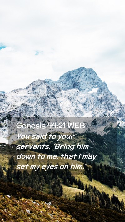 Picture 02 - Genesis 44:21 WEB Mobile Phone Wallpaper - You said to your servants, 'Bring him down to me, - Mobile Bible Verse Wallpaper