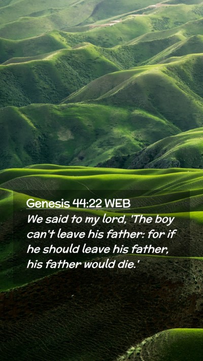 Picture 02 - Genesis 44:22 WEB Mobile Phone Wallpaper - We said to my lord, 'The boy can't leave his - Mobile Bible Verse Wallpaper