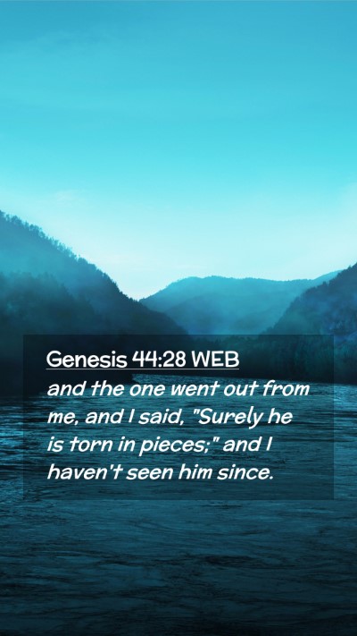 Picture 02 - Genesis 44:28 WEB Mobile Phone Wallpaper - and the one went out from me, and I said, 