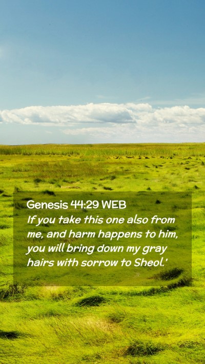 Picture 02 - Genesis 44:29 WEB Mobile Phone Wallpaper - If you take this one also from me, and harm - Mobile Bible Verse Wallpaper