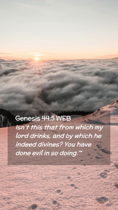 Picture 02 - Genesis 44:5 WEB Mobile Phone Wallpaper - Isn't this that from which my lord drinks, and by - Mobile Bible Verse Wallpaper