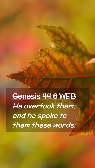 Picture 02 - Genesis 44:6 WEB Mobile Phone Wallpaper - He overtook them, and he spoke to them these - Mobile Bible Verse Wallpaper