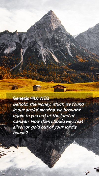 Picture 02 - Genesis 44:8 WEB Mobile Phone Wallpaper - Behold, the money, which we found in our sacks' - Mobile Bible Verse Wallpaper