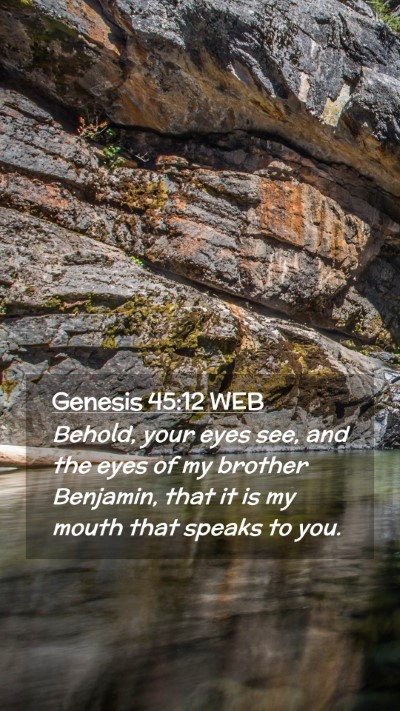 Picture 02 - Genesis 45:12 WEB Mobile Phone Wallpaper - Behold, your eyes see, and the eyes of my brother - Mobile Bible Verse Wallpaper