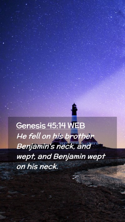 Picture 02 - Genesis 45:14 WEB Mobile Phone Wallpaper - He fell on his brother Benjamin's neck, and wept, - Mobile Bible Verse Wallpaper