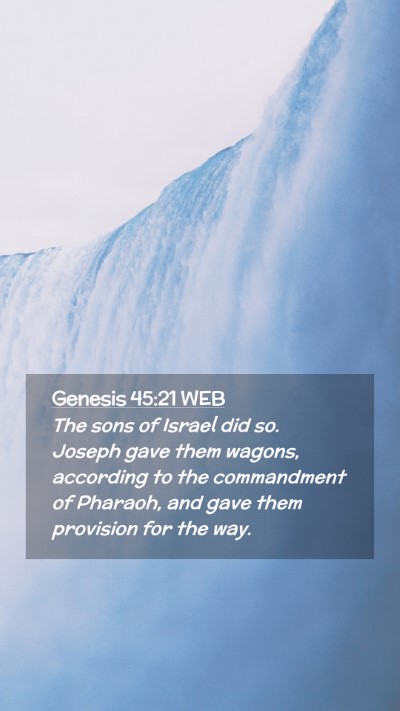 Picture 02 - Genesis 45:21 WEB Mobile Phone Wallpaper - The sons of Israel did so. Joseph gave them - Mobile Bible Verse Wallpaper