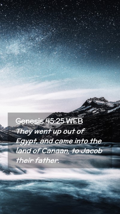 Picture 02 - Genesis 45:25 WEB Mobile Phone Wallpaper - They went up out of Egypt, and came into the land - Mobile Bible Verse Wallpaper