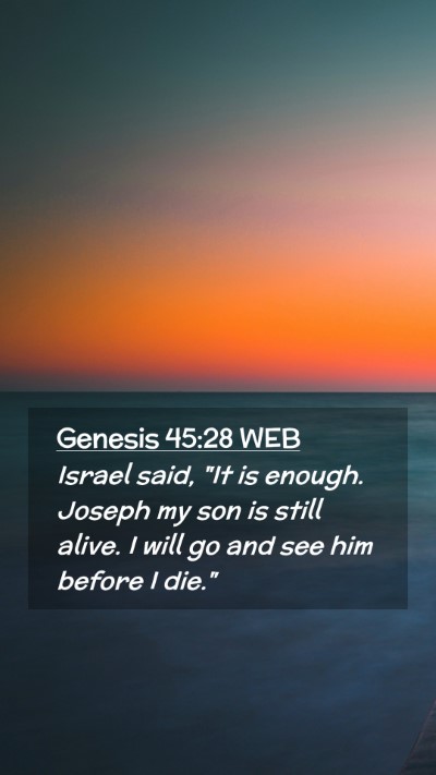 Picture 02 - Genesis 45:28 WEB Mobile Phone Wallpaper - Israel said, 