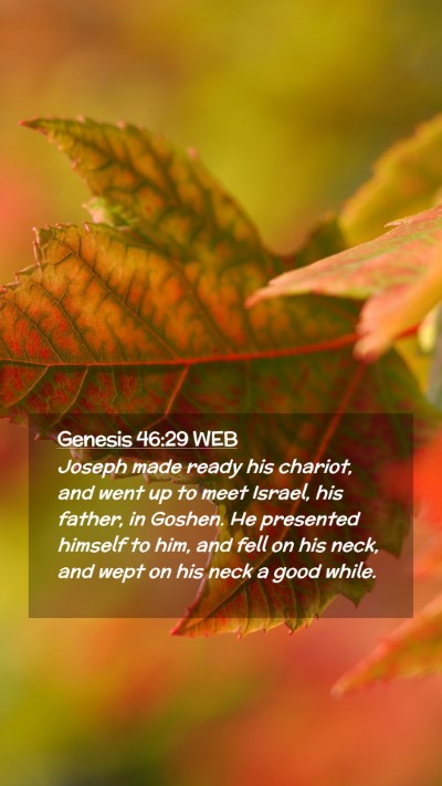 Picture 02 - Genesis 46:29 WEB Mobile Phone Wallpaper - Joseph made ready his chariot, and went up to - Mobile Bible Verse Wallpaper