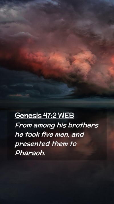 Picture 02 - Genesis 47:2 WEB Mobile Phone Wallpaper - From among his brothers he took five men, and - Mobile Bible Verse Wallpaper