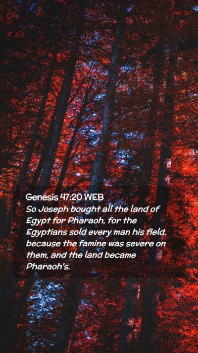 Picture 02 - Genesis 47:20 WEB Mobile Phone Wallpaper - So Joseph bought all the land of Egypt for - Mobile Bible Verse Wallpaper