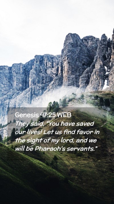 Picture 02 - Genesis 47:25 WEB Mobile Phone Wallpaper - They said, 