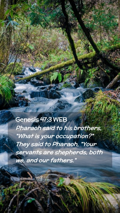 Picture 02 - Genesis 47:3 WEB Mobile Phone Wallpaper - Pharaoh said to his brothers, 