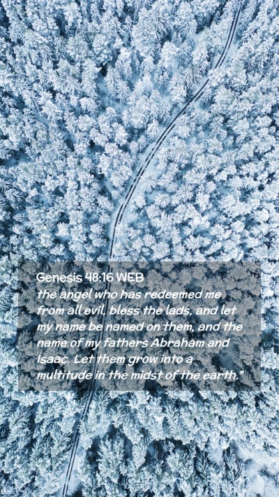 Picture 02 - Genesis 48:16 WEB Mobile Phone Wallpaper - the angel who has redeemed me from all evil, - Mobile Bible Verse Wallpaper