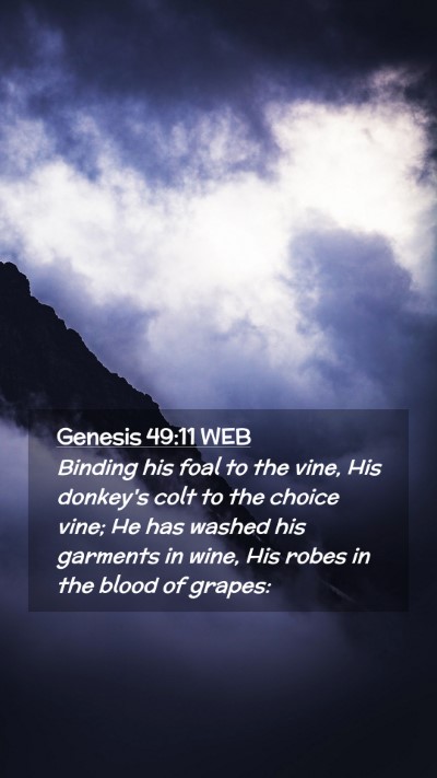 Picture 02 - Genesis 49:11 WEB Mobile Phone Wallpaper - Binding his foal to the vine, His donkey's colt - Mobile Bible Verse Wallpaper